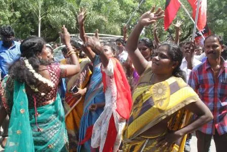 dmk celebration